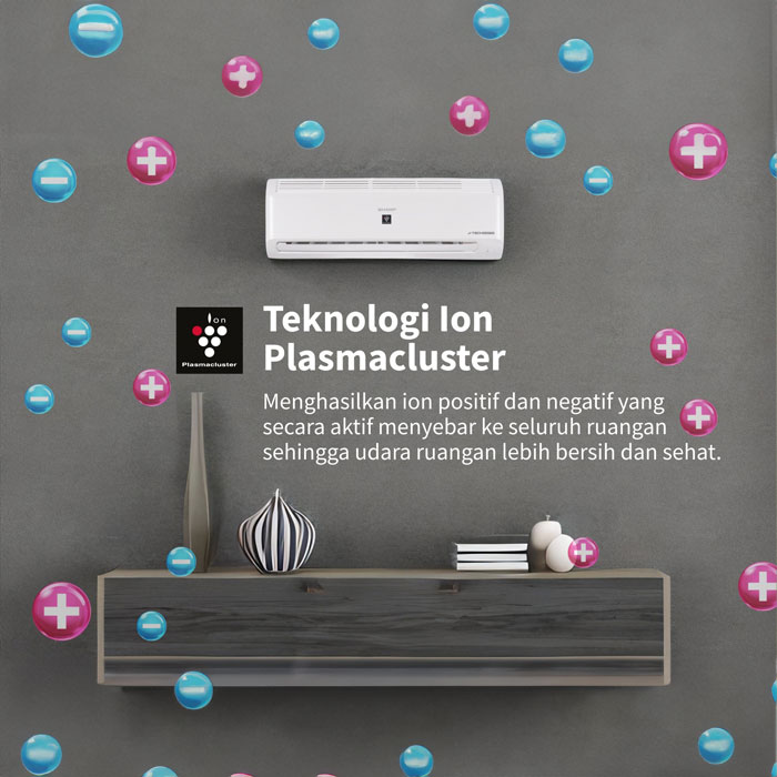 Sharp AC Inverter Split Plasmacluster Garuda Series 1 PK - AH-XP10BMY