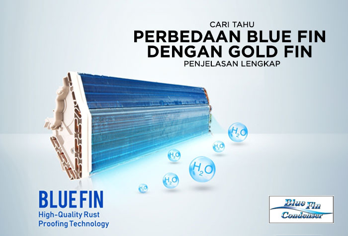 APA PERBEDAAN BLUE FIN DAN GOLD FIN