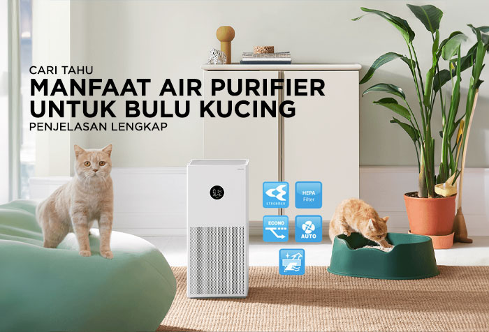 MANFAAT AIR PURIFIER UNTUK BULU KUCING ATAU HEWAN